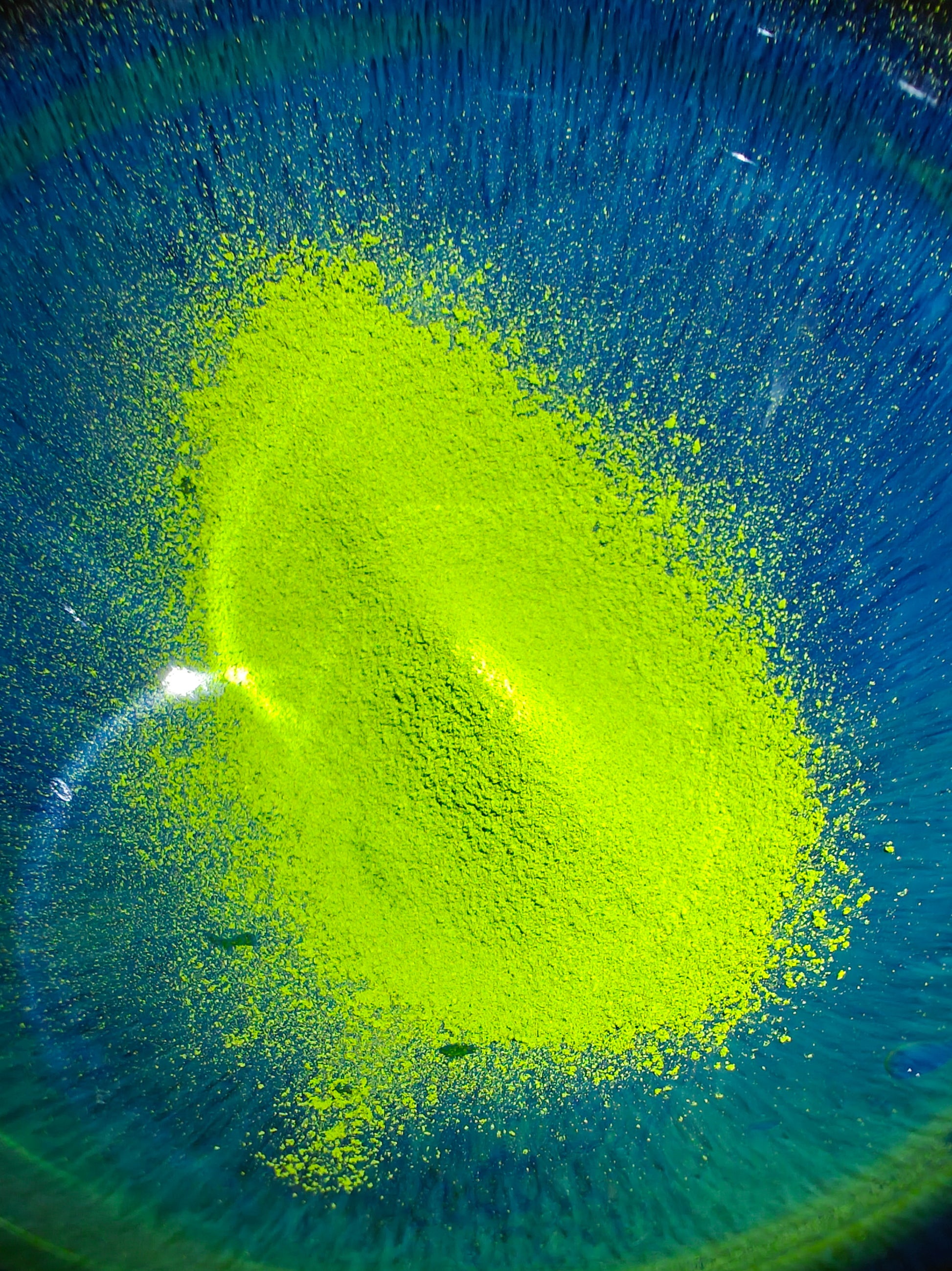 Matcha Sifter/strainer | Chakoshi  茶こし