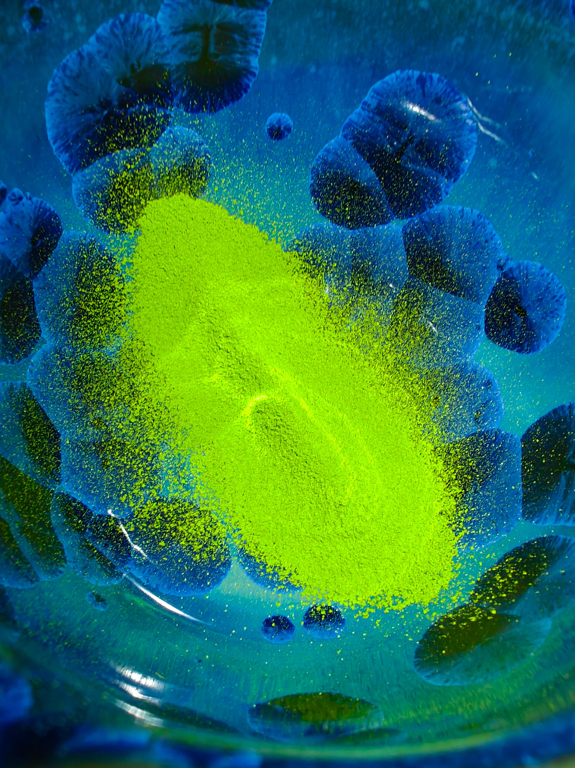 Matcha Sifter/strainer | Chakoshi  茶こし