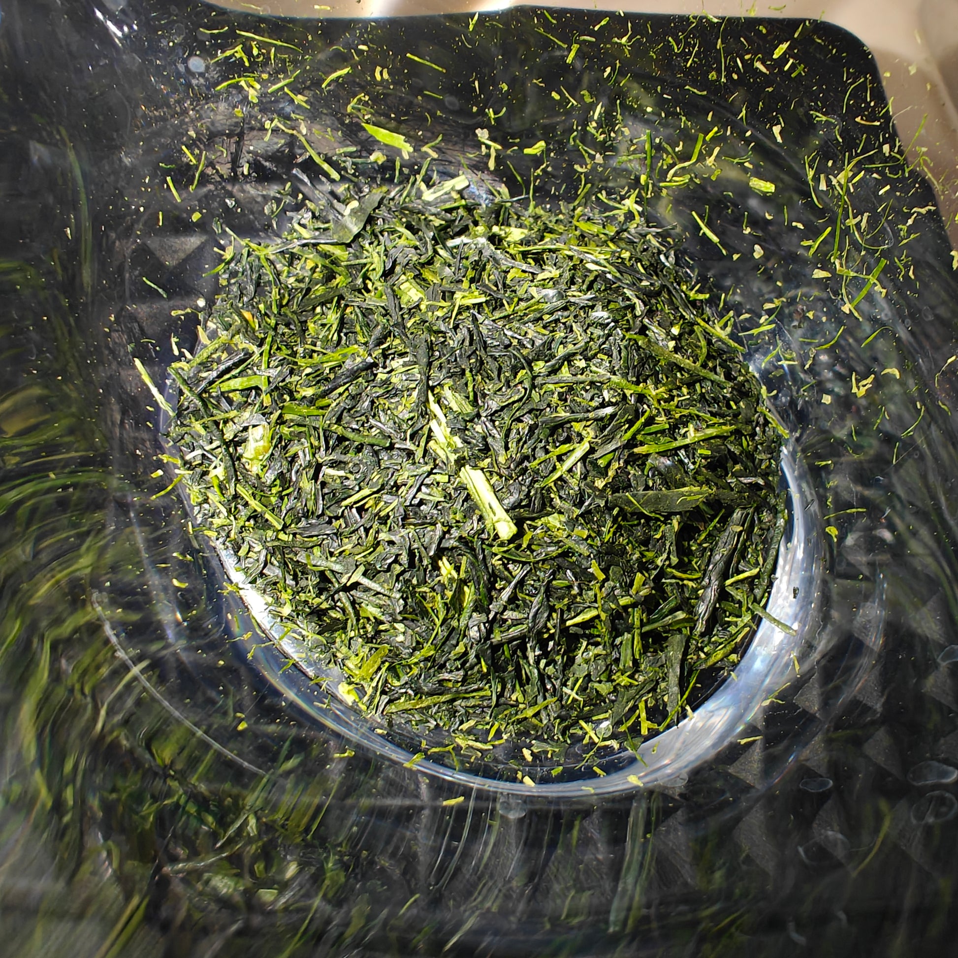 Okuro 奥露 Kabusecha 50g | Tenshin Matcha