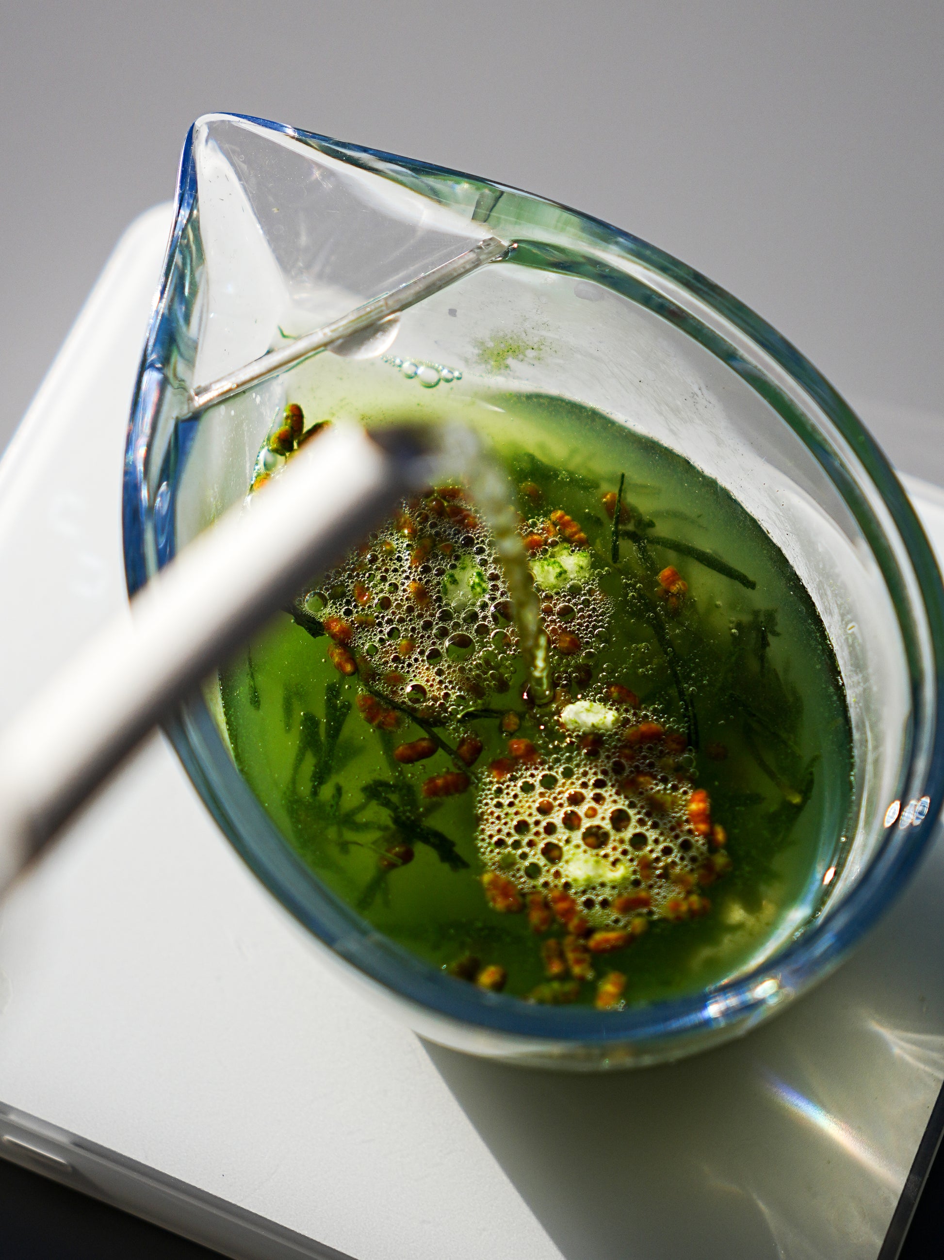 Uji Tezumi Gen-Matcha 100g | Hasegawa 長谷川