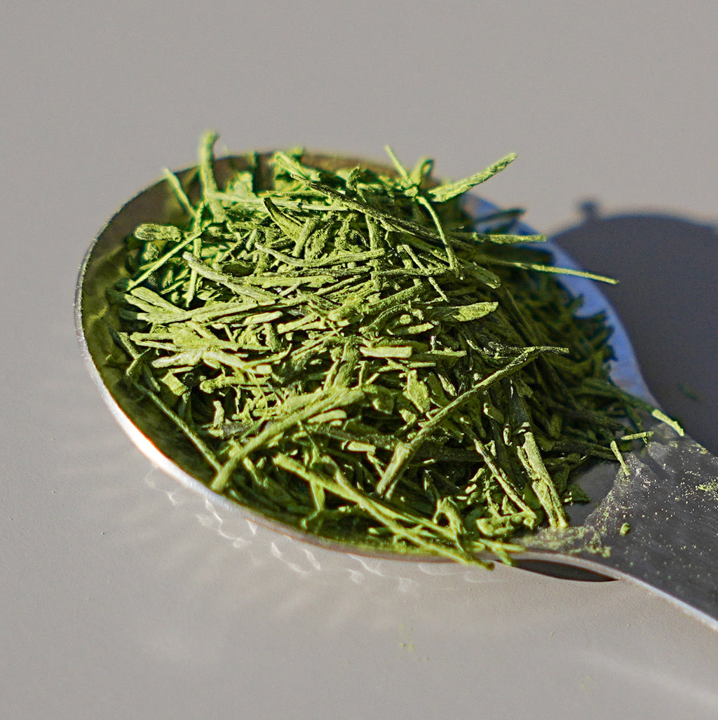 Uji Tezumi Sen-Matcha 100g | Hasegawa 長谷川